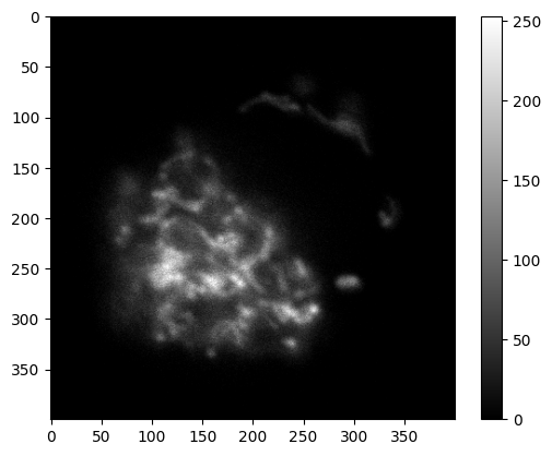 ../../_images/5fc7f5555b5afccedc1038cf10d9fd796a378be83c2da64e305aeda3525e2ecc.png