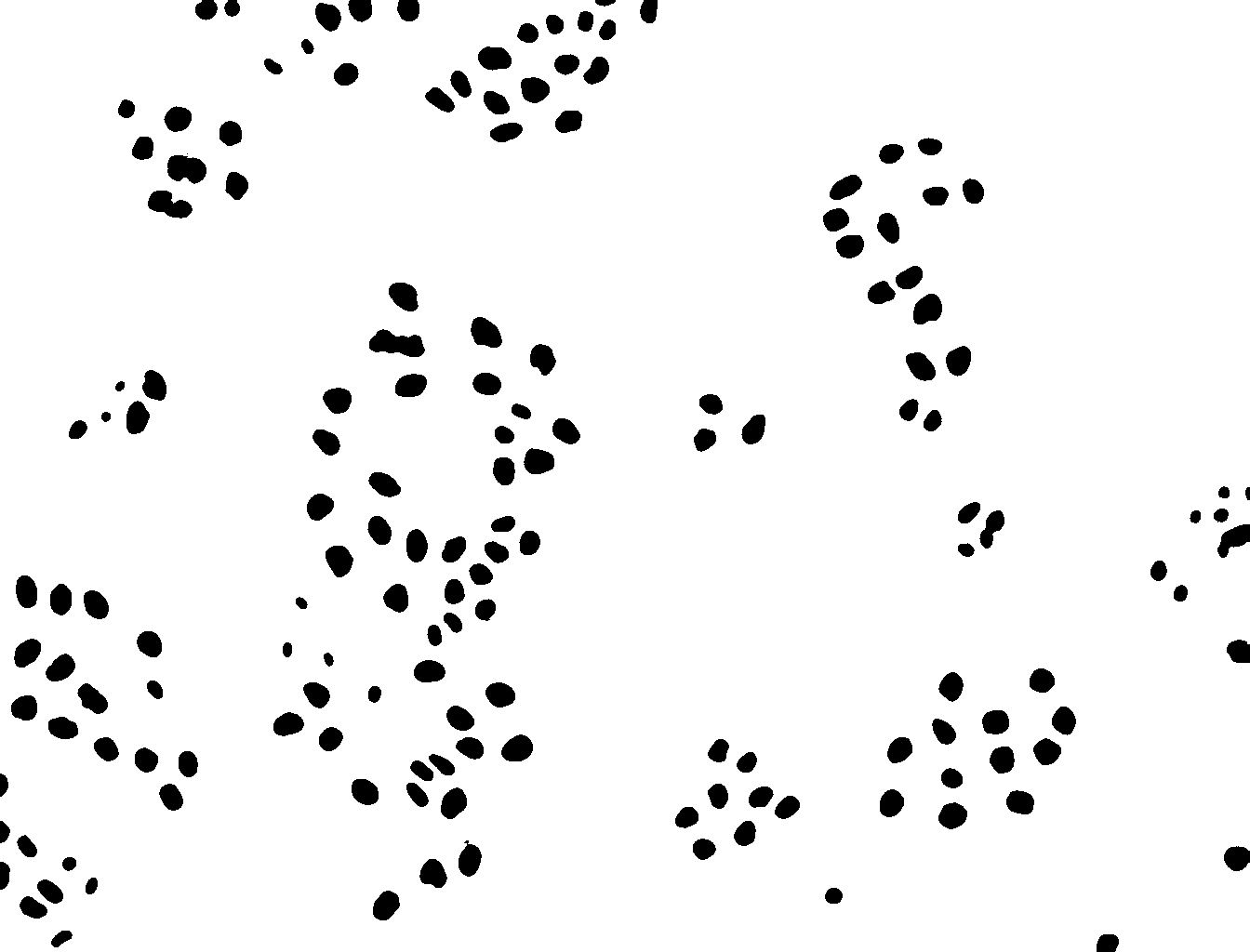 Ilastik